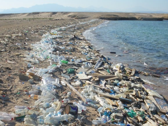 Grober Plastikmüll am Ufer des Roten Meeres (nahe Safaga, Ägypten)