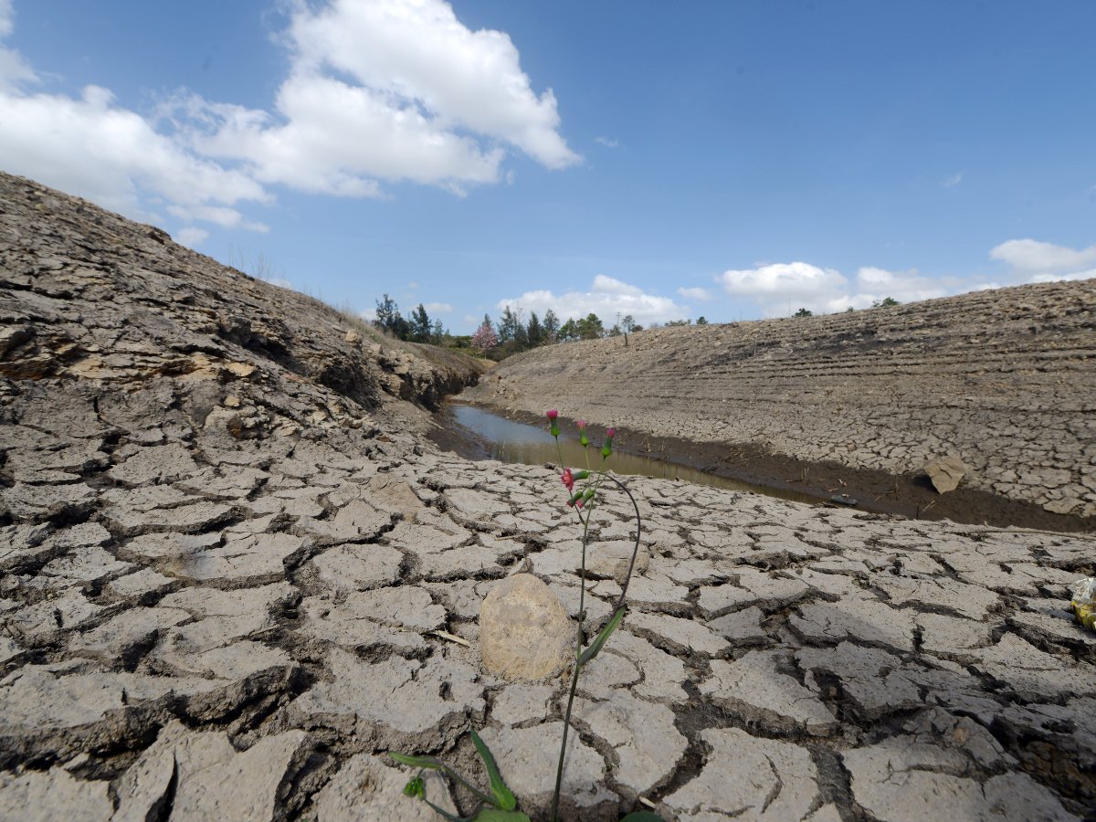 Der Klimawandel wird zum immer ernst zu nehmenden Problem. Bild: Orlando Sierra / AFP