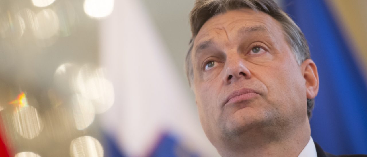 Viktor Orbán könnte zum vierten Mal ungarischer Ministerpräsident werden. Foto: Jure Makovec | AFP