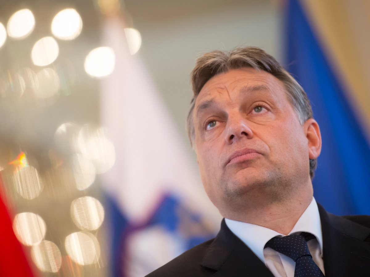 Viktor Orbán könnte zum vierten Mal ungarischer Ministerpräsident werden. Foto: Jure Makovec | AFP