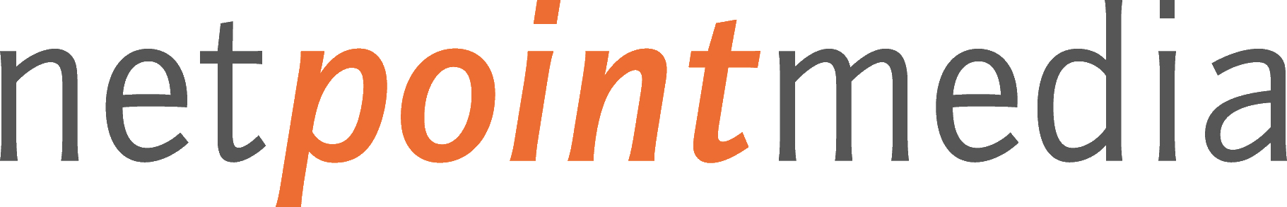 netpoint logo - transparent