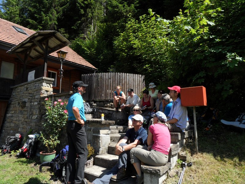 Die Wanderleiterschulung findet im Naturpark Gantrisch statt. Foto © Toni Negro