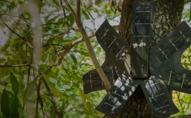 Aus alten Handys und Solarzellen baut Topher White diese Geräte und versteckt sie auf etwa 10 Metern Höhe in den Bäumen. Foto: RainforestCx