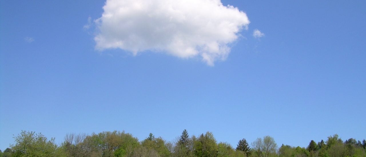 Wolke über Waldstück