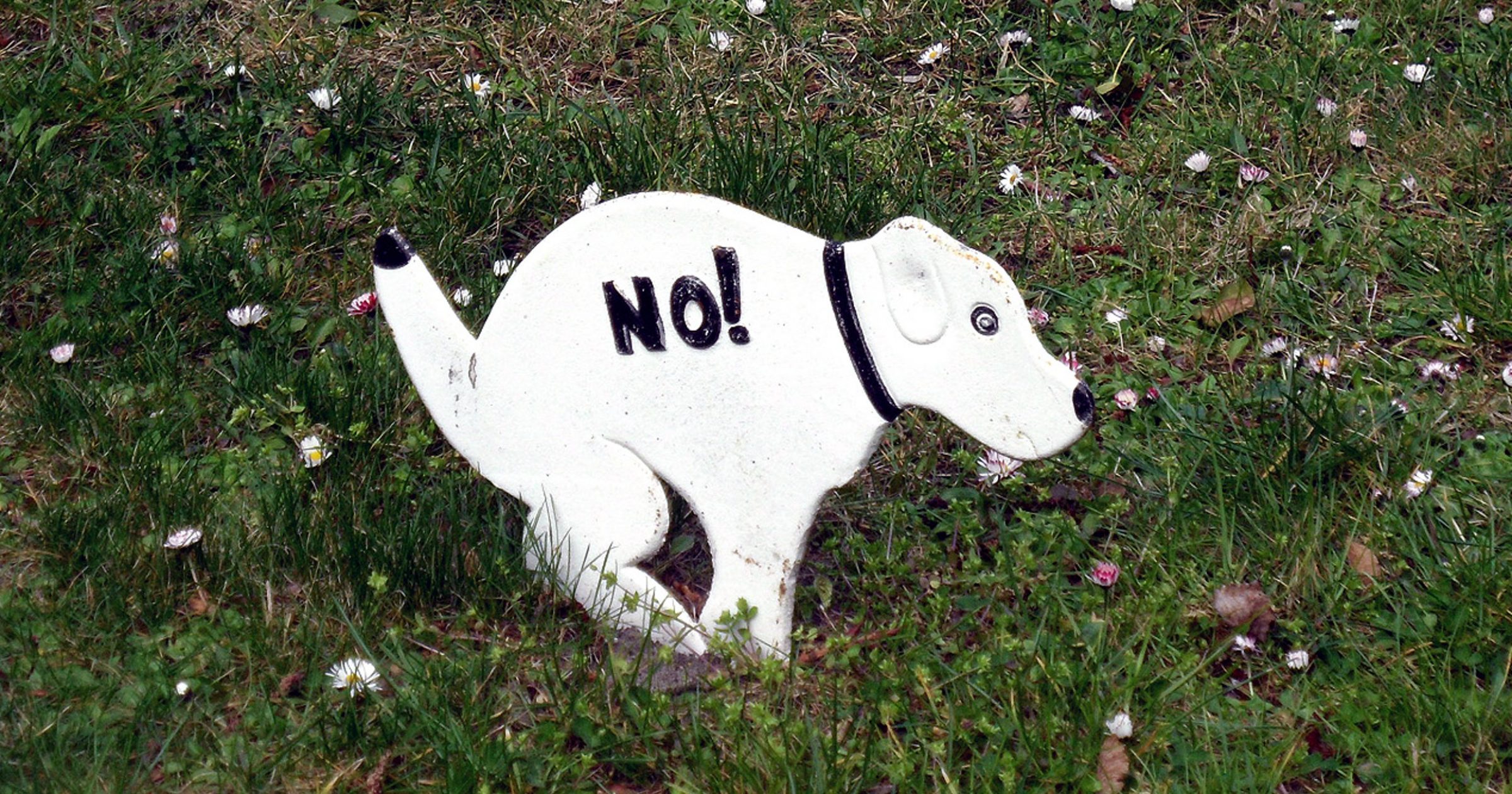 Hundekot Im Garten Gartengestaltung Idee