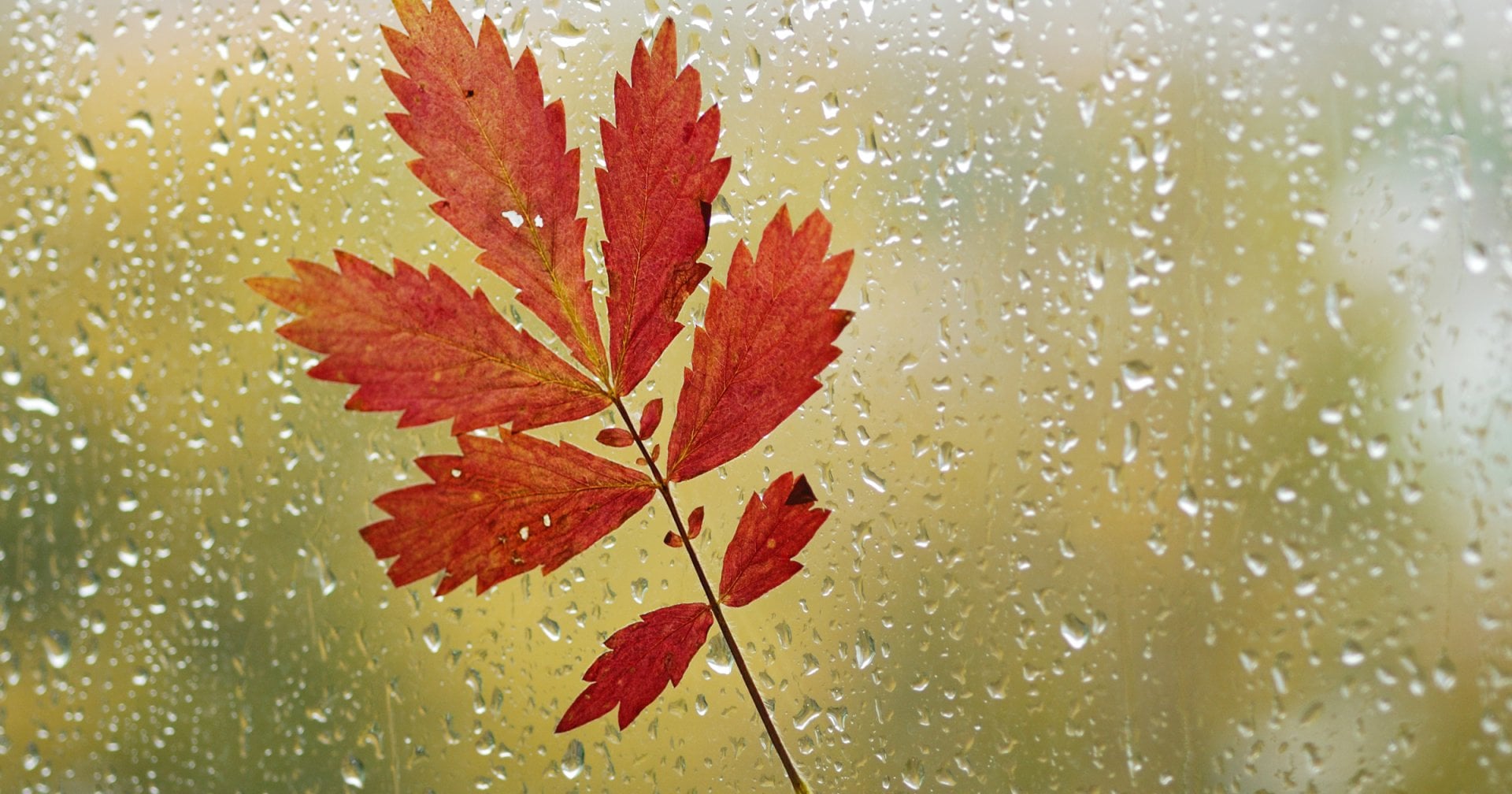 Anruf bei Frag-Mutti.de | Was tun gegen Erkältung im Herbst? – Muttis ...