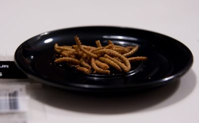 Frittierte maden mit BBQ-Aroma. In den Niederlanden werden Insekten als partysnack mittlerweile in Supermärkten verkauft. Foto: bbq flavour worm crisps. CC BY 2.0 | Flavio Ensiki / flickr.com