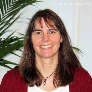 Silke Rautenschlein - ist die Direktorin der Klinik für Geflügel der Stiftung Tierärztliche Hochschule Hannover.