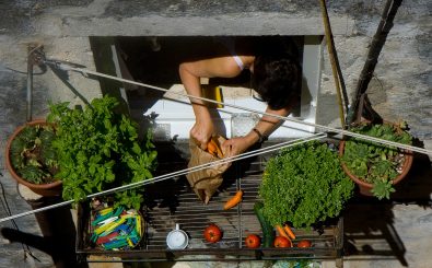 Nicht nur auf dem Balkon, auch auf dem Fensterbrett findet der Stadtgärtner noch Platz für ein bisschen Gemüse. Foto: Vegetables on the balcony CC BY-SA 2.0 | Marcel Oosterwijk / flickr.com