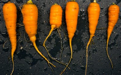 Eine vegan lebende Mutter soll ihrem Kind Fleisch zubereiten. Foto: carrot harvest: short squat, and flavorful | CC BY 2.0 | woodleywonderworks / flickr.com