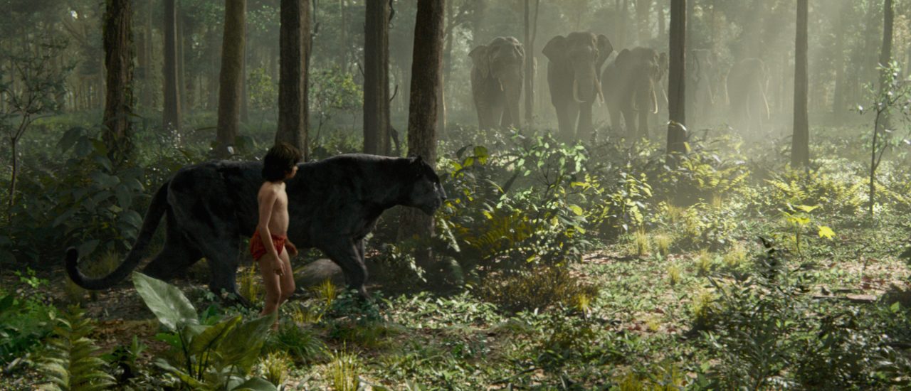 Das Dschungelbuch als Remake. Mowgli und Bagheera im dichten Dschungel. Foto: ©2016 Disney Enterprises, Inc. All Rights Reserved