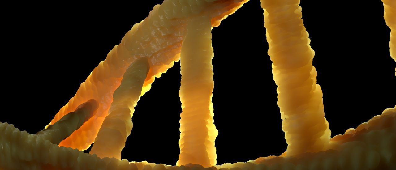 Hier setzt das Genome Editing an: ein DNA-Strang in der Nahaufnahme. Foto: CC0 1.0 | colin00b | pixabay.com