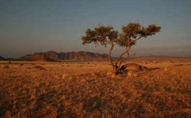 Deutsche Kolonialtruppen haben die Herero auch in die Wüste getrieben. Dort sind sie verhungert und verdurstet. Foto: Sossusvlei region Landscape/ credits: CC BY 2.0 | Vernon Swanepoel / flickr.com