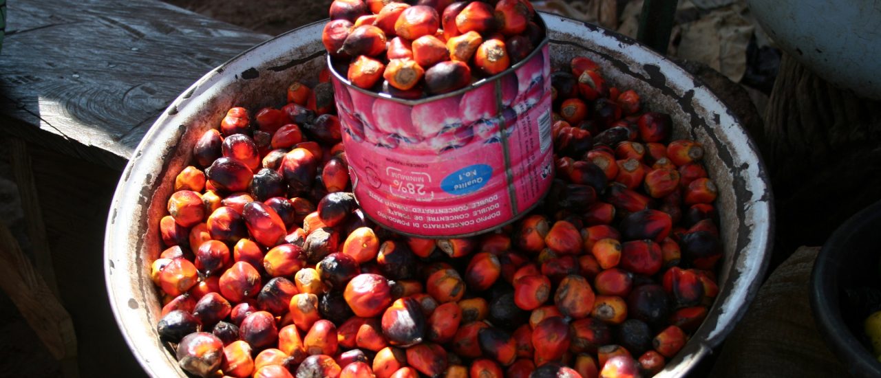 Früchte der Ölpalme auf einem Markt in Burkina Faso. Foto: CC BY-SA 2.5 | Marco Schmidt | wikimedia.