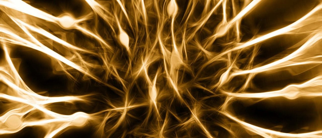 Nervenzellen können jetzt auf Biochips genauer untersucht werden. Bild: CC0 1.0 | geralt / pixabay.com