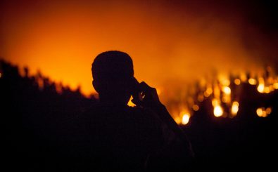 Waldbrand auf La Palma am 6. August 2016. Foto: Desiree Martin | AFP