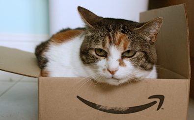 Auch Katzenfutter lässt sich über den Dash Button bestellen. Foto: Amazon cat CC BY 2.0 | Stephen Woods / flickr.com