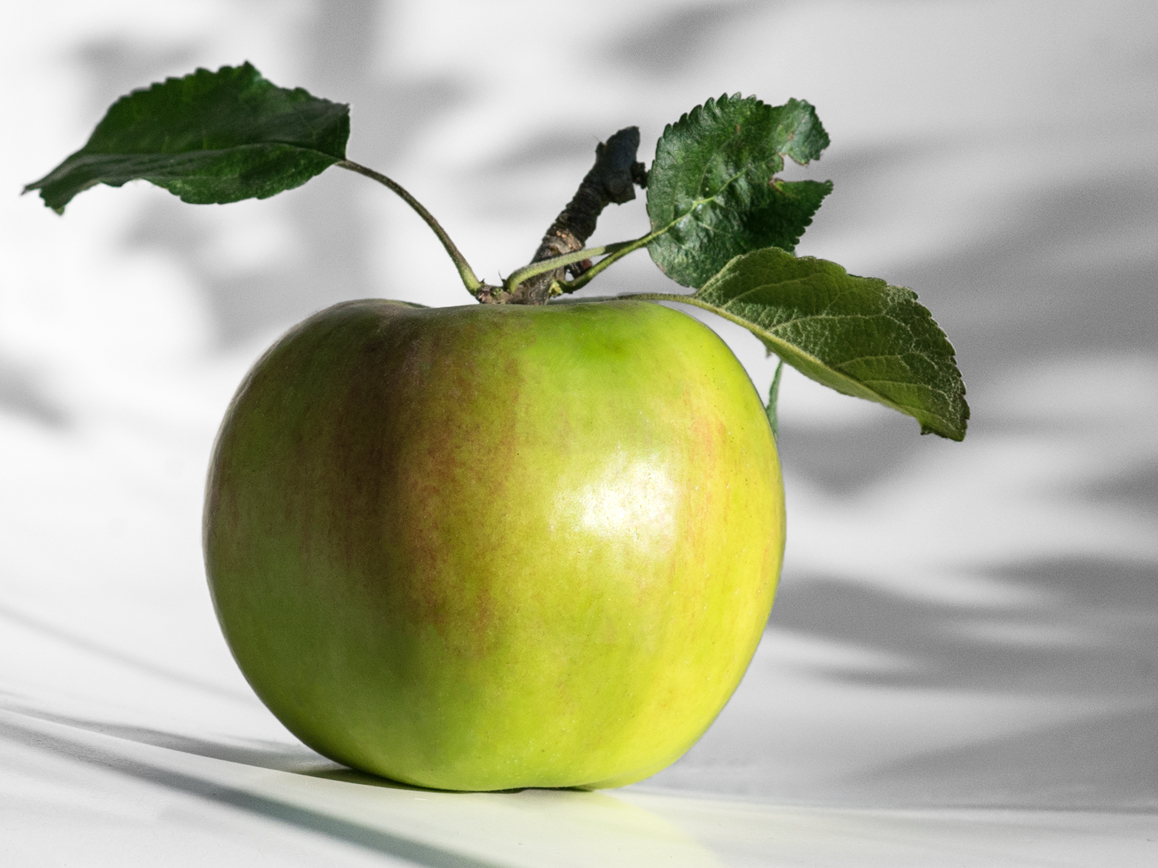 Äpfel: Gesundes Fastfood, das an Bäumen wächst. | Foto: Enrico Meyer / The Krauts
