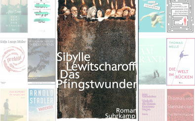 Der Roman „Das Pfingstwunder“ von Sibylle Lewitscharoff ist für den Deutschen Buchpreis 2016 nominiert. detektor.fm hat eine Leseprobe vertont. Foto: | detektor.fm / Suhrkamp.