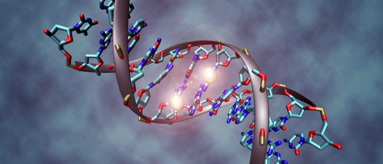 Zugriff verweigert: Wie ein Schloss blockieren Methylgruppen einzelne Gene. Für die Zelle sind diese Informationen gesperrt. Bild: CC BY-SA 3.0 | Christoph Bock (MPI für Informatik) / wikimedia
