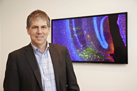 Prof. Dr. Tobias Bonhoeffer - ist Direktor am Max-Planck-Institut für Neurobiologie. Foto: Felix Brandl