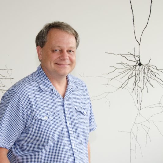 Prof. Dr. Mark Hübener - forscht am Max-Planck-Institut für Neurobiologie. Foto: MPI für Neurobiologie / Schorner