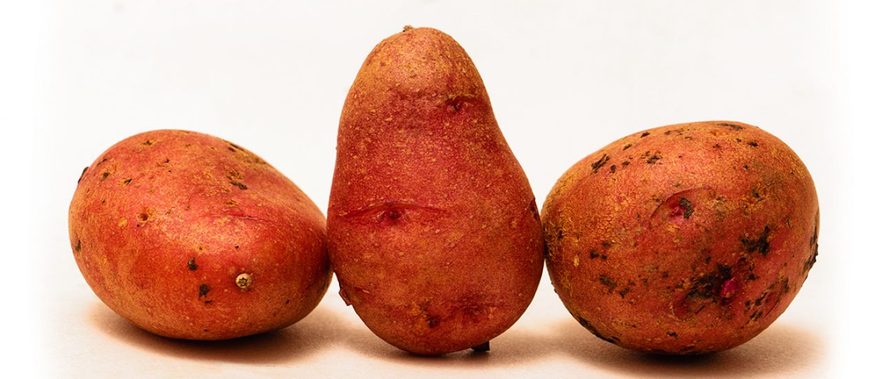 Rotschalig oder lila: Bunte Kartoffeln sind immer mehr im Kommen. Foto: The Krauts | Enrico Meyer | The Krauts
