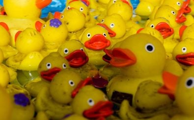 Spielzeug kann schnell mal dreckig werden. Wenn zum Beispiel Wasser in den Quietscheentchen nicht entfernt wird, wird die Ente irgendwann von Innen schwarz. Foto: 111223_untitled_097.jpg CC BY-SA 2.0 | Tony Castellani / flickr.com