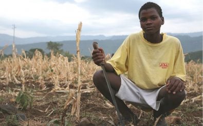 Kleinbauern ernähren rund 80 Prozent der Weltbevölkerung. Allerdings können sie oftmals selbst kaum von ihren Erträgen leben. Foto: U.S. Government Works | USAID in Africa / flickr.com
