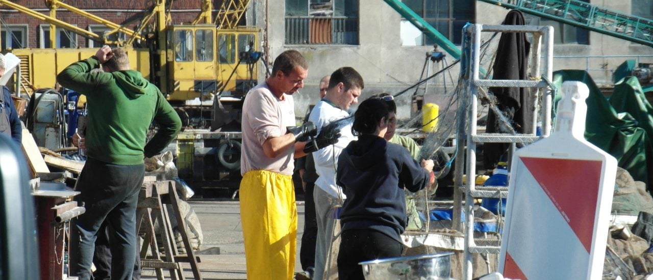 Viele polnische Arbeiter werden von deutschen Arbeitgebern ausgenutzt. Foto: Arbeiter im Hafen | CC BY 2.0 | zeesenboot | flickr.com