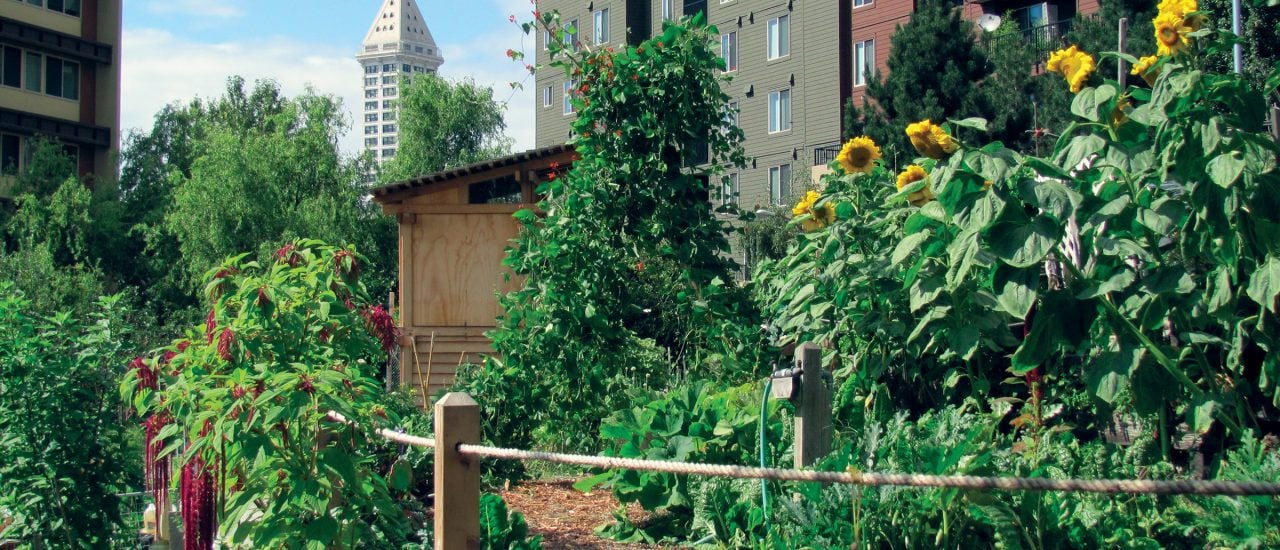 Eine Oase zwischen den Blocks: ein Urban-Gardening-Projekt. Foto: Urban Garden | CC BY 2.0 | Seattle Parks / flickr.com