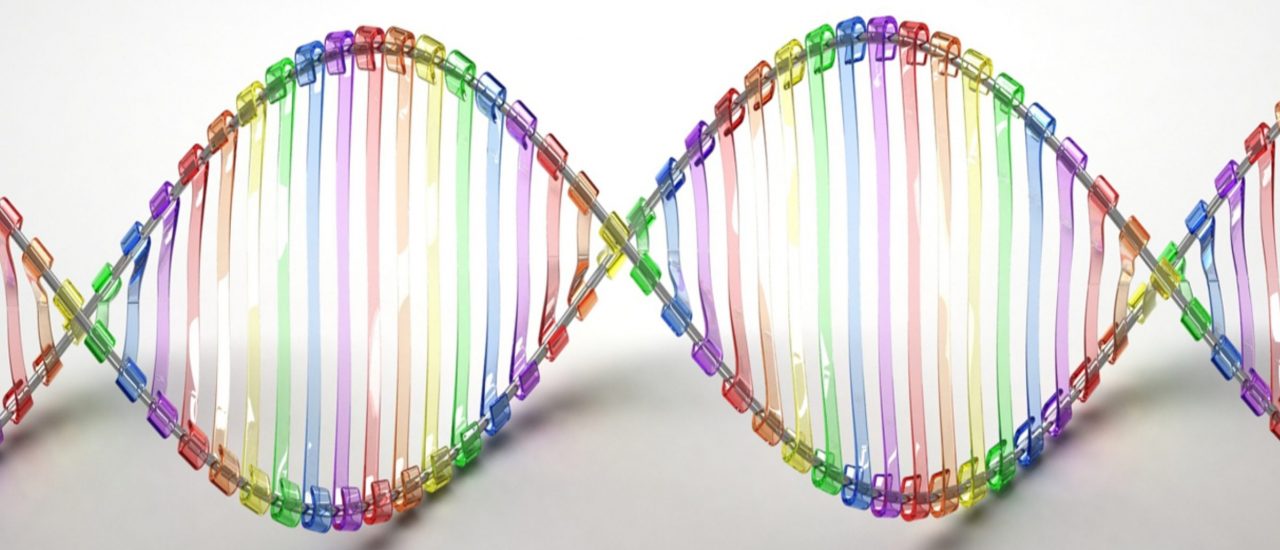 Daten auf DNA speichern? Forschern ist das gelungen. Foto: DNA | CC BY 2.0 | Caroline Davis2010 / flickr.com