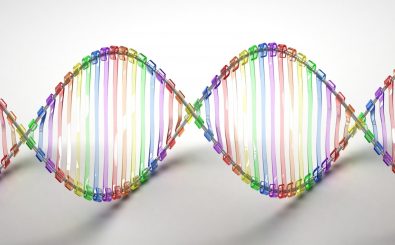 Daten auf DNA speichern? Forschern ist das gelungen. Foto: DNA | CC BY 2.0 | Caroline Davis2010 / flickr.com