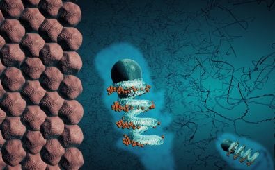 Schleimhäute sind Schutzbarrieren des Körpers. Selbst für winzigste Bots sind sie ohne Tricks kaum zu überwinden. Das Bild zeigt: Ein wenige Nanometer großer Mikropropeller aus Glas, besetzt mit schleimlösenden Enzymen (Orange) auf dem Weg zur Magenwand. | Alejandro Posada / MPI IS