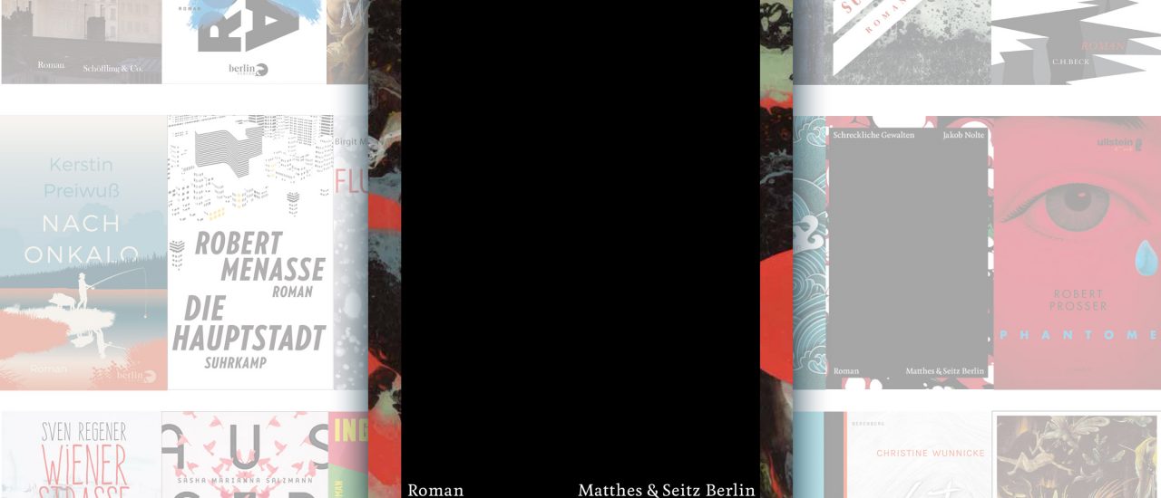 Der Roman „Schreckliche Gewalten“ von Jakob Nolte steht auf der Longlist für den Deutschen Buchpreis 2017. Foto: | detektor.fm / Matthes & Seitz Berlin