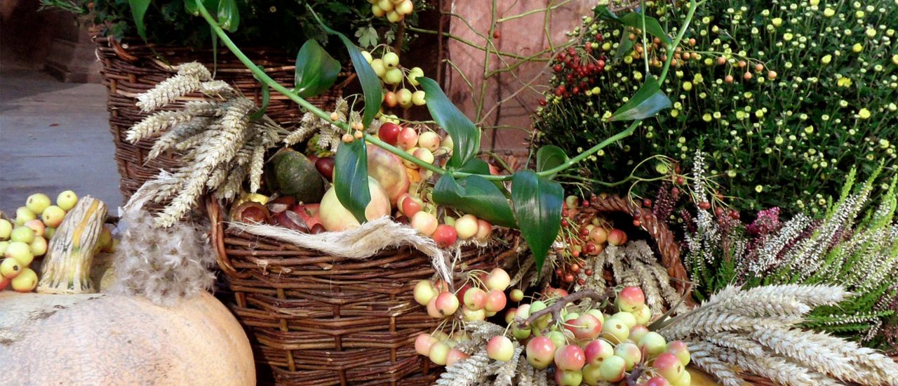 Obst, das im Herbst geerntet wird, wie etwa Kürbis, Apfel & Co ist bekannt und beliebt. Aber kennen Sie auch Wildfrüchte? Foto: BUGA 2015 Havelberg – Erntedank CC BY-SA 2.0 | onnola / flickr.com