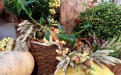 Obst, das im Herbst geerntet wird, wie etwa Kürbis, Apfel & Co ist bekannt und beliebt. Aber kennen Sie auch Wildfrüchte? Foto: BUGA 2015 Havelberg – Erntedank CC BY-SA 2.0 | onnola / flickr.com