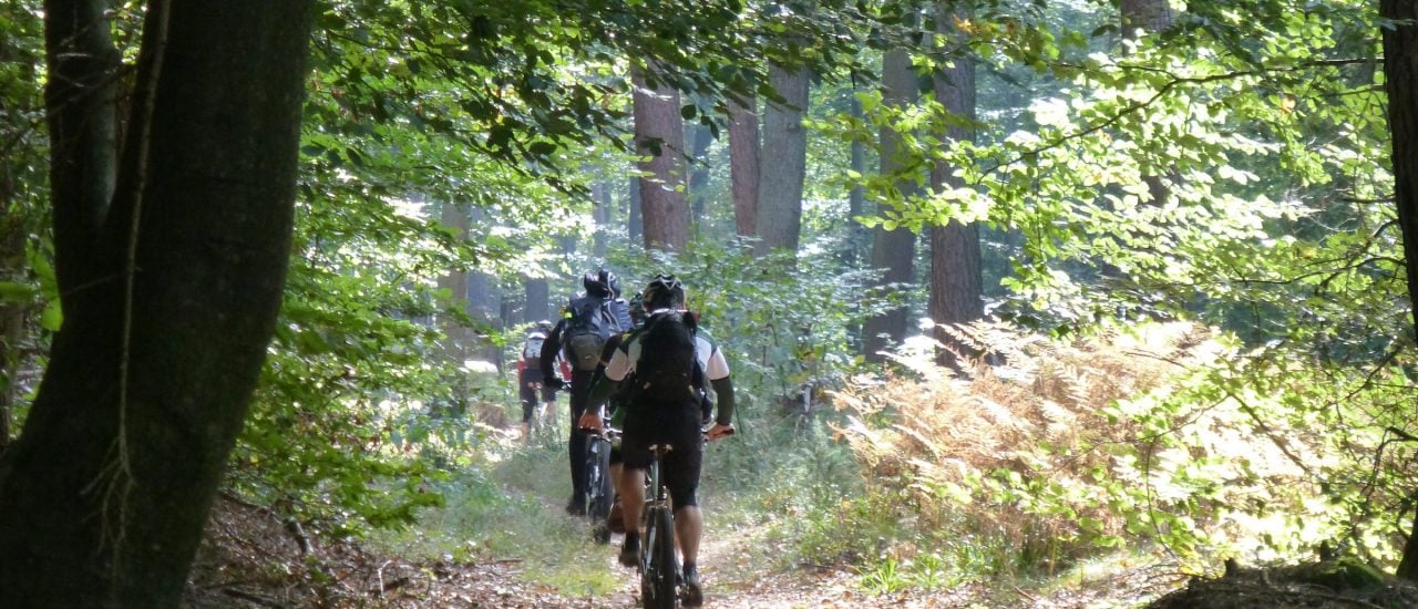 Es gibt insgesamt 900 km Strecke für Mountainbiker im Pfälzerwald. Egal ob gelassen oder abenteuerlich, hier sollte jeder seine Strecke finden. Foto: Hermann Daniel | Gäsbockbiker e.V. Lambrecht