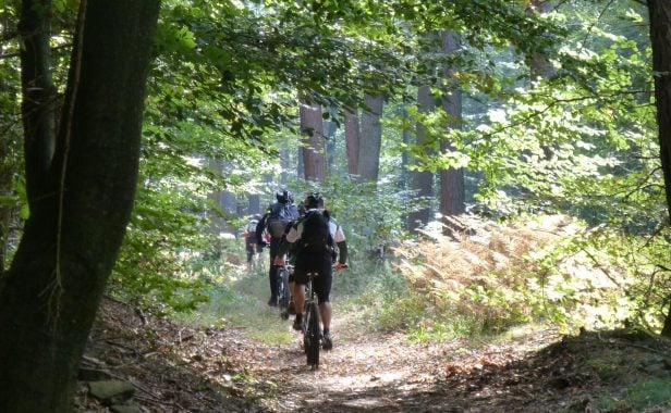In NRW bald nicht mehr möglich? Mountainbiken auf einem Trail. Foto: Hermann Daniel | Gäsbockbiker e.V. Lambrecht