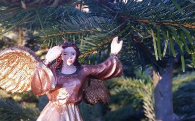 Strahlt am schönsten auf dem Bio-Baum: ein Weihnachtsengel. Foto: Heike Sicconi | privat