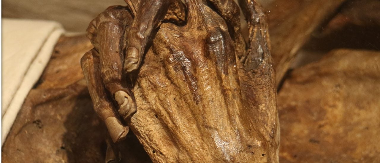 Doktorarbeit mit Gruselfaktor: Eine Wissenschaftlerin untersucht Mumien im sächsischen Riesa. Foto: Kahlbutz – Hände CC BY-SA 2.0 | Rolf Dietrich Brecher / flickr.com