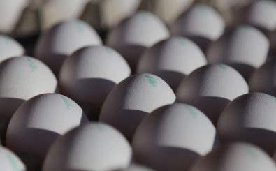 Der Zahlencode auf den Eiern kennzeichnet das Haltungssystem, aus dem die Eier kommen. Foto: Eier | CC BY-SA 2.0 | LID: Jonas Ingold / flickr.com