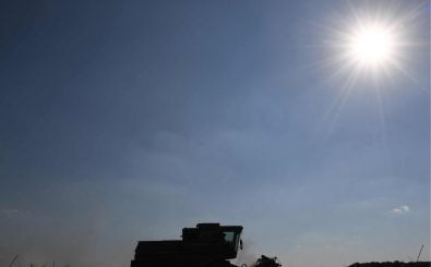 Hitzewelle über Deutschland, Dürre auf den Feldern. Foto: Christof Stache | AFP