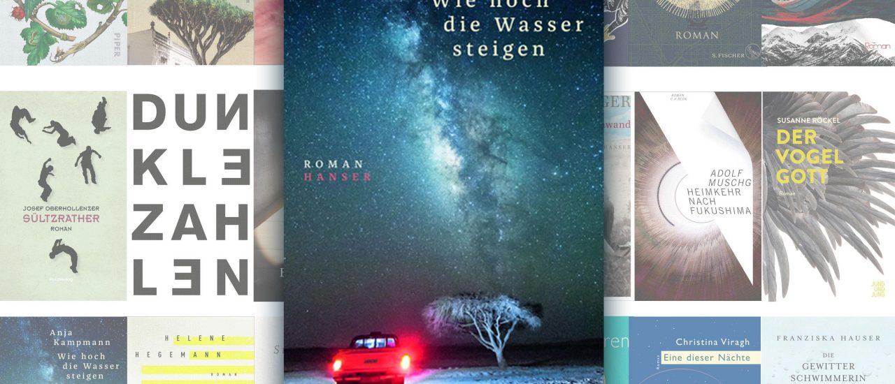 Der Roman „Wie hoch die Wasser steigen“ ist für den Deutschen Buchpreis 2018 nominiert. Bild: Hanser Literaturverlage