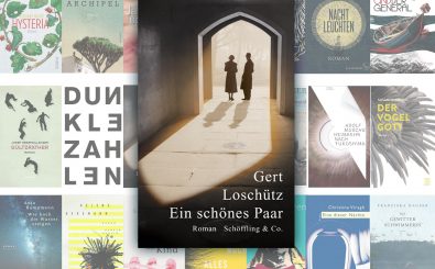 Das Buch „Ein schönes Paar“ ist für den Deutschen Buchpreis nominiert. Bild: Schöffling & Co. Verlagsbuchhandlung GmbH