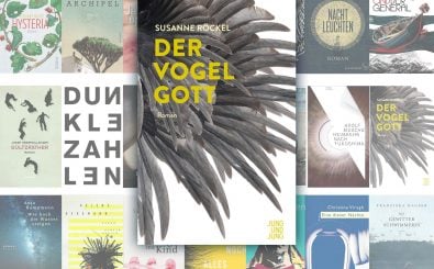 Die Erzählung „Der Vogelgott“ ist für den Deutschen Buchpreis 2018 nominiert. Bild: Jung und Jung Verlag 