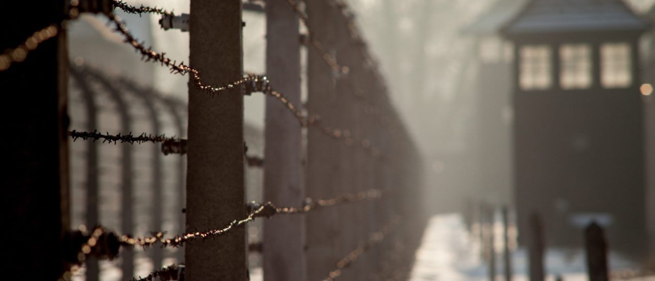 Viele junge Menschen wissen wenig bis gar nichts über den Holocaust. Foto: Szymon Kaczmarczyk | Shutterstock.com