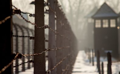 Viele junge Menschen wissen wenig bis gar nichts über den Holocaust. Foto: Szymon Kaczmarczyk | Shutterstock.com
