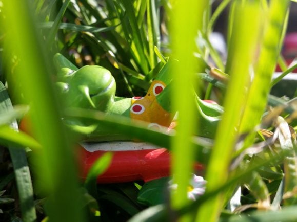 Im Garten von Jörg Pfenningschmidt.