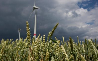 Ein Windkraftwerk in Feldheim. Foto: John Macdougall | AFP